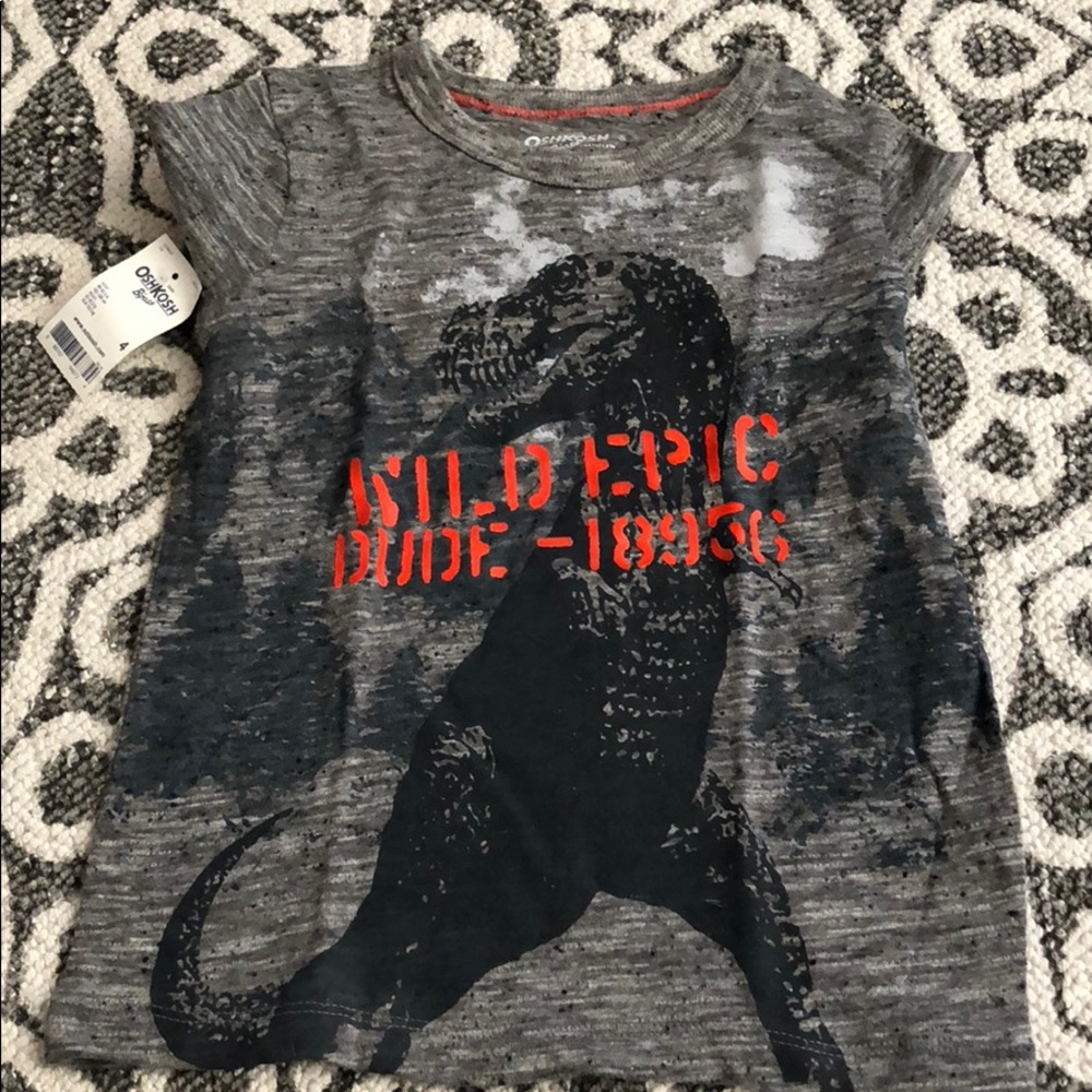 Dinosaur 🦖 long sleeve